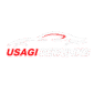 usagidetailing.com